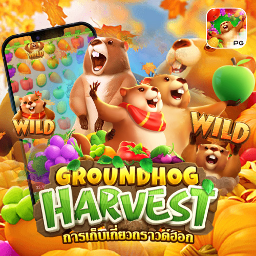 Groundhog Harvest Slotxomoney